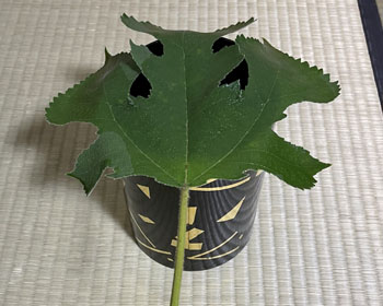 【高田屋】　　葉蓋　　水指 茶道具 葉蓋用水指 茶道具 葉蓋水指 | 茶道具 小西康のぶろぐ